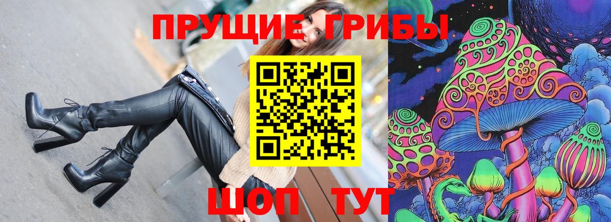 Галлюциногенные грибы Cubensis  Вход с VPN  Тулун 