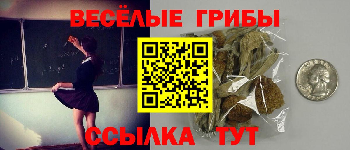 Псилоцибиновые грибы прущие грибы Тулун